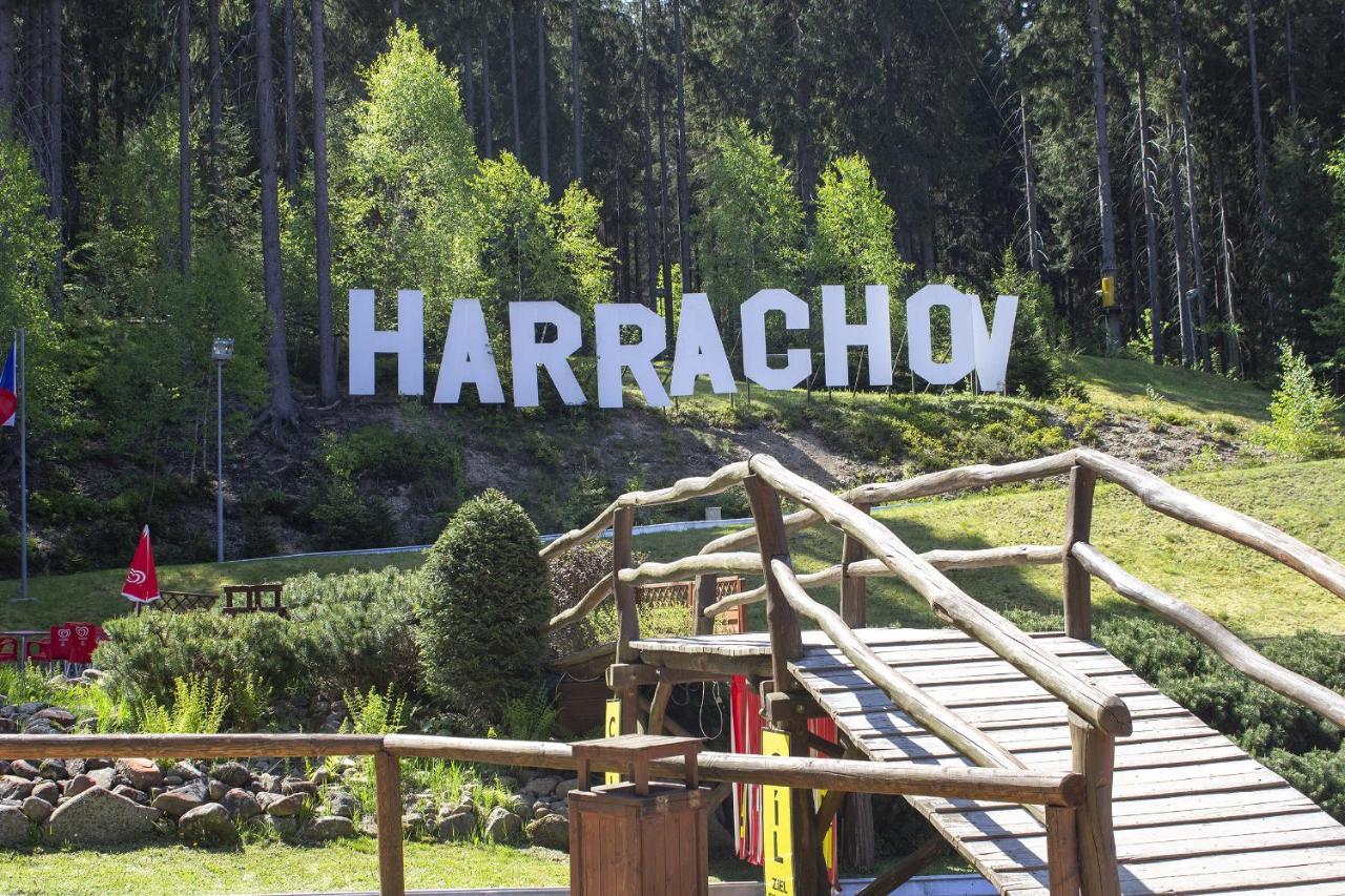 Enjoyharrachov - Atraktivni Slunne Studio Certovka V Centru Harrachova S Garazovym Parkovanim, Wifi-Wlan, Sat, Herni Konzoli, Netflix Zdarma A Nejkrasnejsim Vyhledem Na Certovu Horu S Arealem Skokanskych Mustku A Sjezdovku Екстер'єр фото